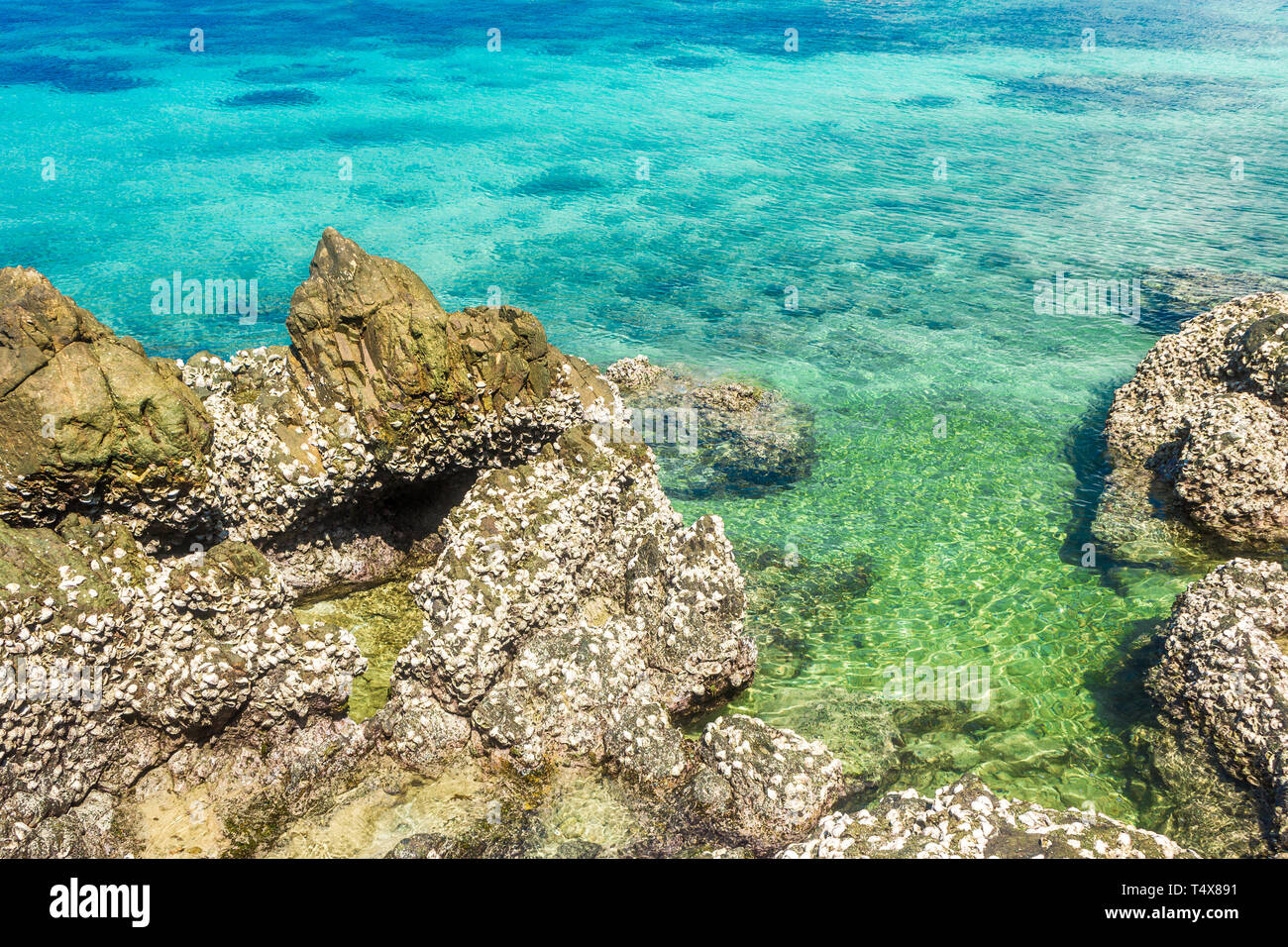 Tropische Insel Felsen am Strand mit blauer Himmel. Koh Kham Pattaya Thailand. Stockfoto