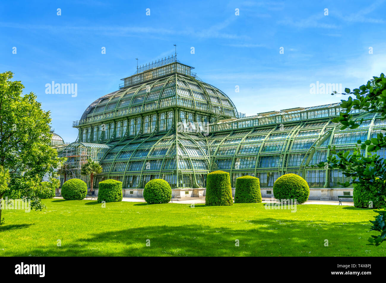 Der botanische Garten in Wien, Österreich Stockfoto