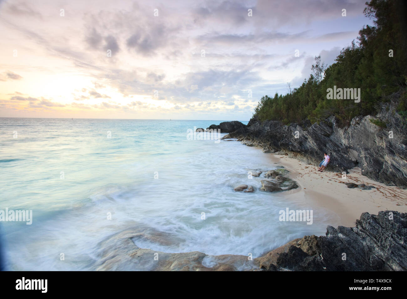 Bermuda, Südküste, West Whale Bay Park Stockfoto