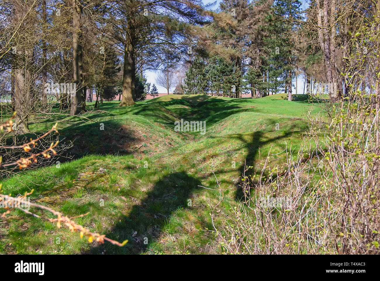 Die erhaltenen Schützengräben aus der Schlacht an der Somme wo Das Neufundländer Regiment kämpfte in Beaumont Hamel in Frankreich Stockfoto