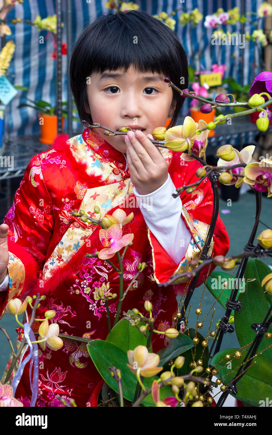 Neujahrsfest Fair, Victoria Park, Hong Kong, SAR, China Stockfoto