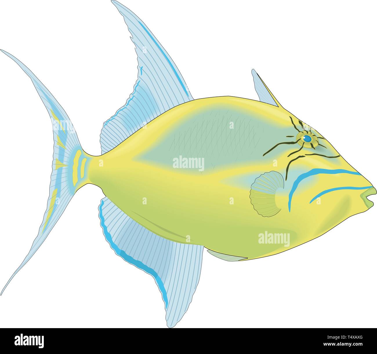 Queen Triggerfish Vector Illustration Stock Vektor