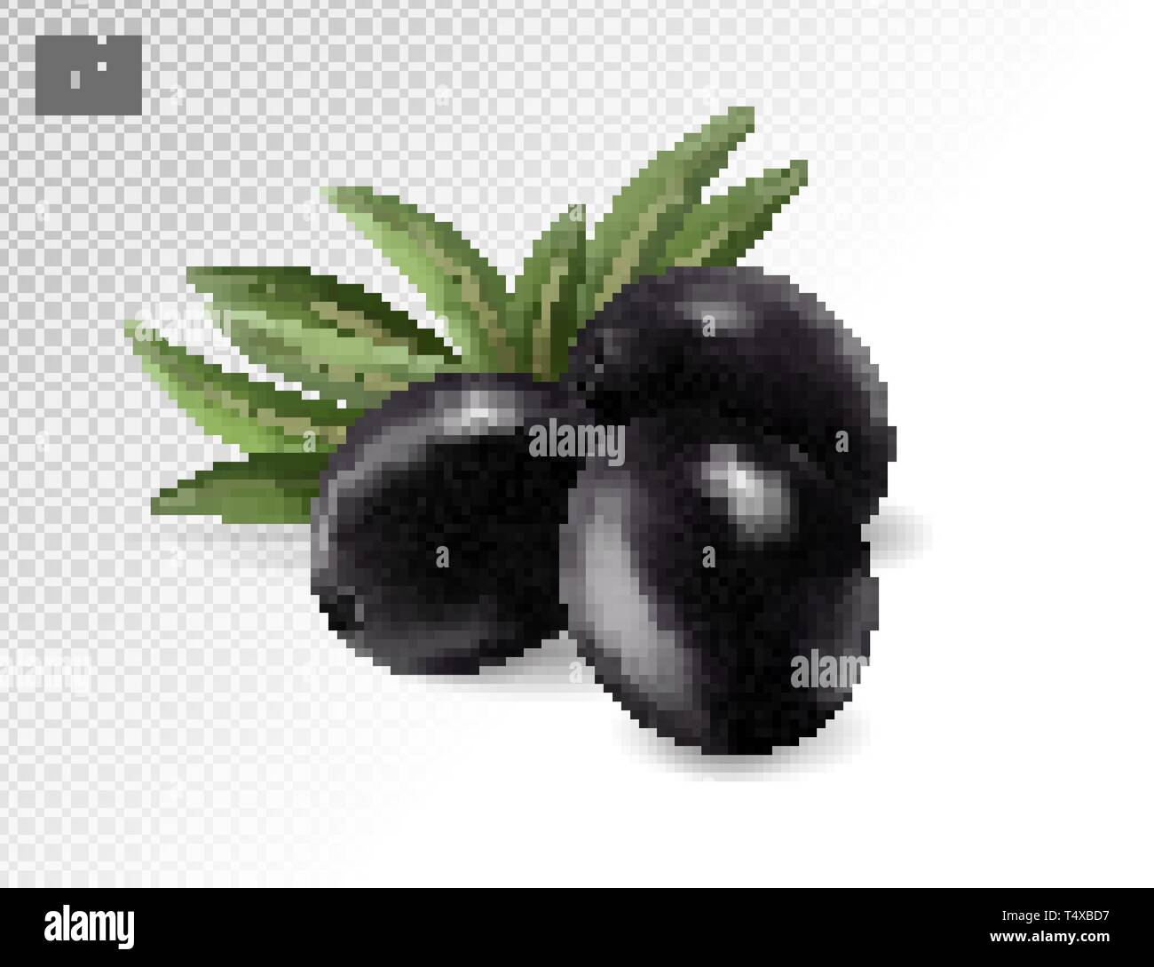 Schwarze Oliven mit Blättern. Foto-realistische Vector, 3d Stock Vektor