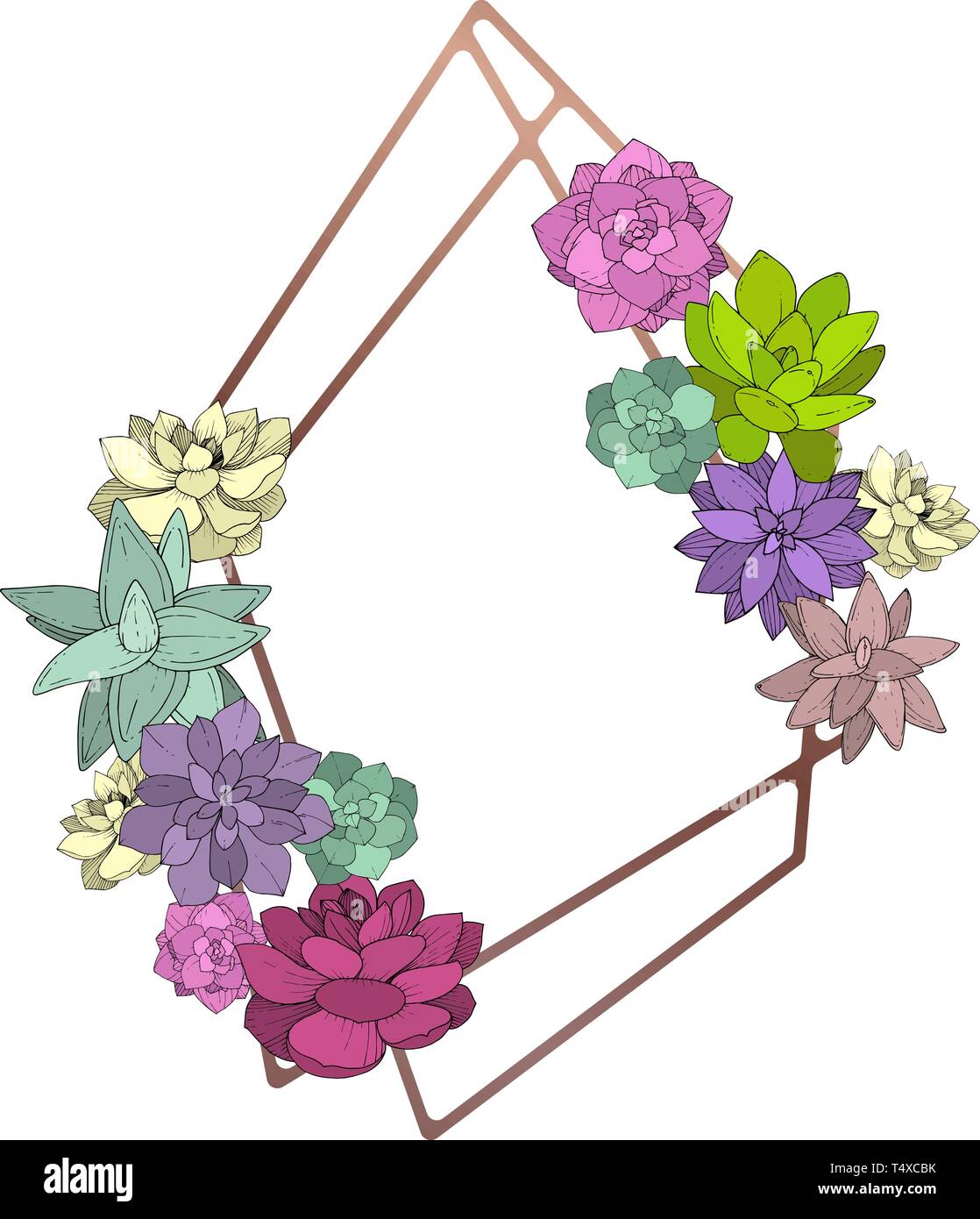 Vektor Sukkulenten floral botanischen Blume. Graviert Tinte Kunst auf weißem Hintergrund. Rahmenlinie ornament Quadrat. Stock Vektor