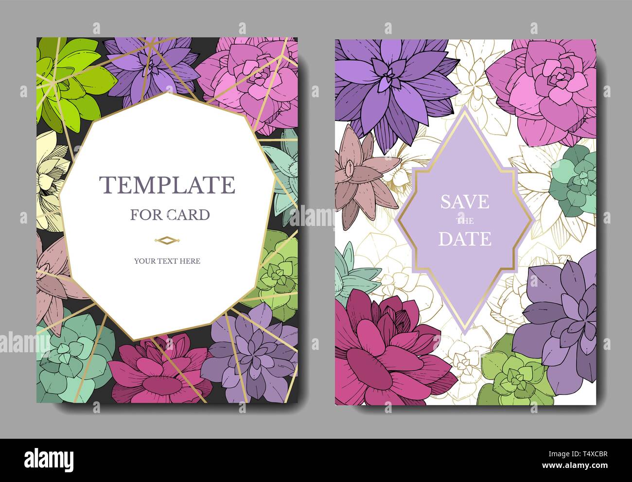 Vektor Sukkulenten floral botanischen Blume. Graviert Tinte Art Hochzeit hintergrund Karte Blumen dekorativ Grenze. Stock Vektor