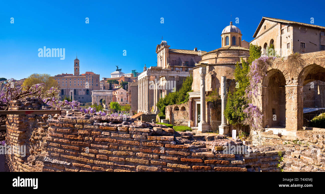 Historische Forum Romanum in Rom scenic Frühling, Hauptstadt von Italien Stockfoto