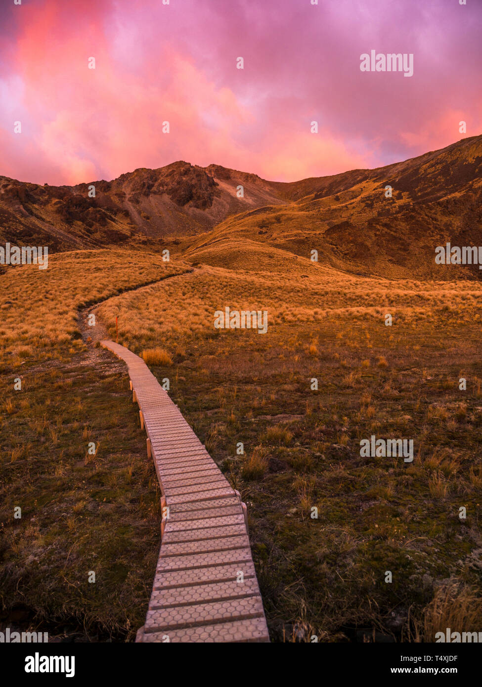 Schöne rosa Wolken und Berge von sunrise mit Kepler Track im Vordergrund wicklung in den Foto beleuchtet. Stockfoto