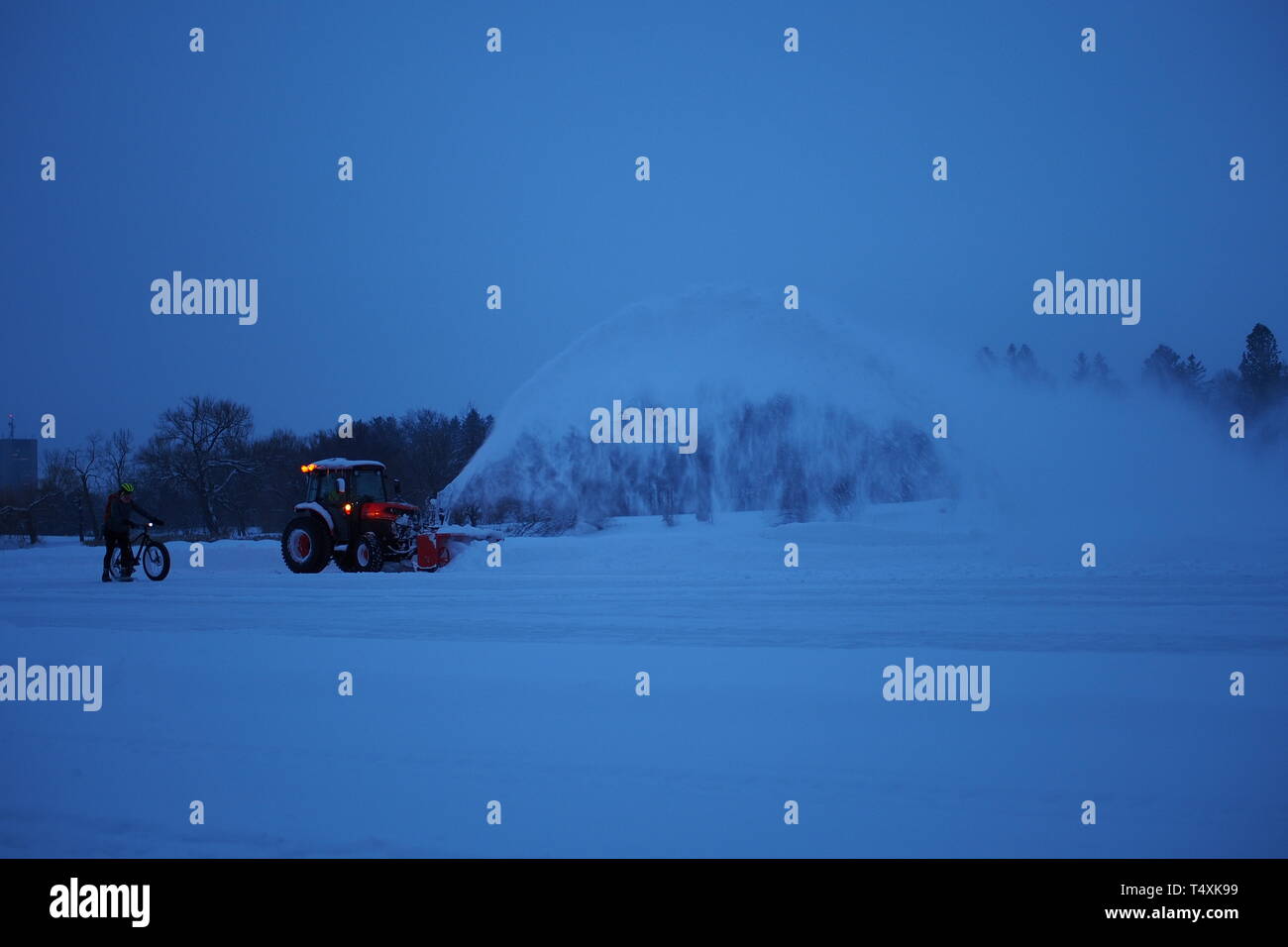 Ein winter Radfahrer an einem Traktor Schneeräumen auf dem Rideau-Kanal-Eislaufbahn bei Dow's Lake, Ottawa, Ontario, Kanada. Stockfoto