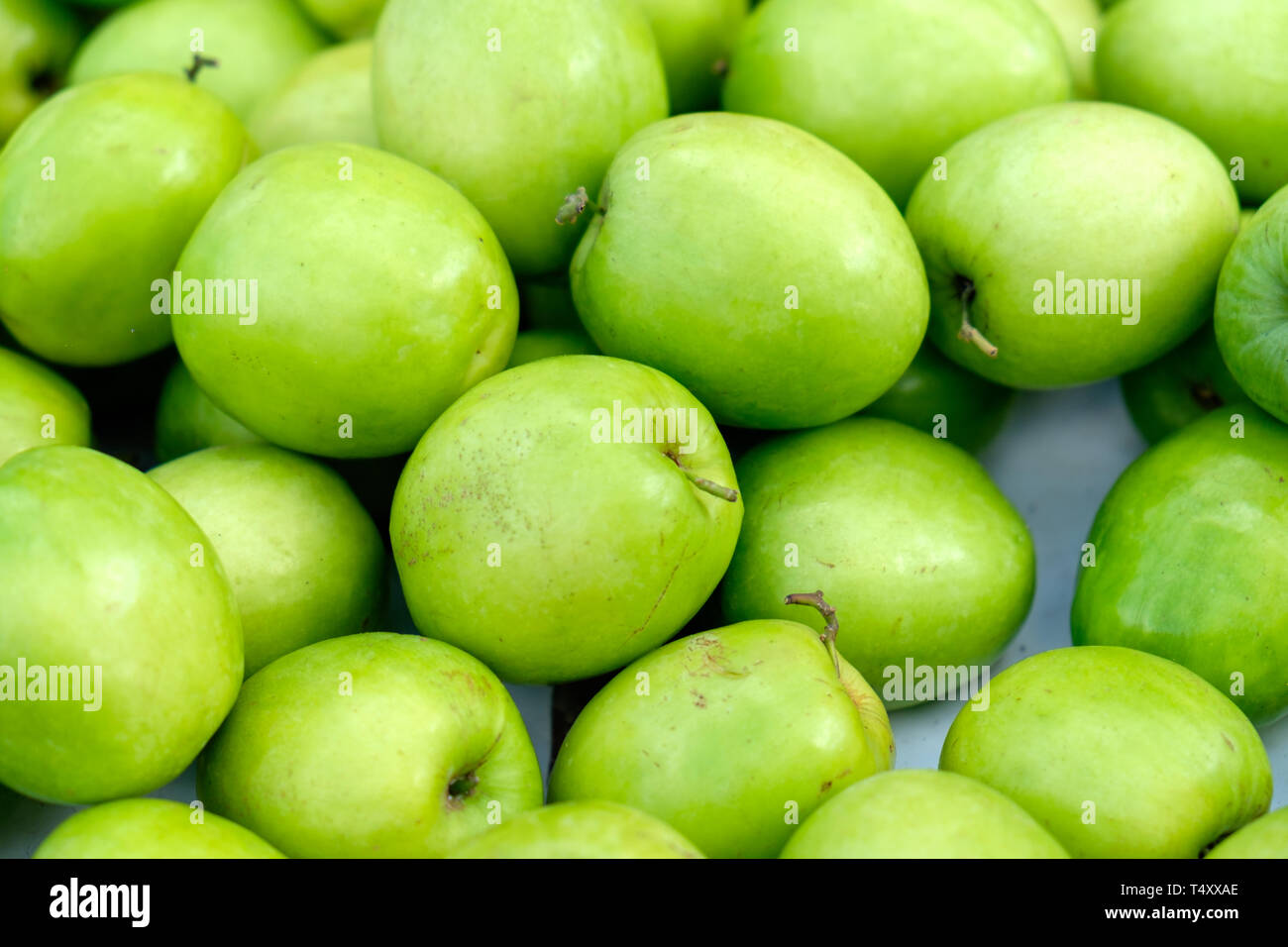 Jujube, Indische chinesische Jujube, Datum, monkey Apple, grüne Kugeln haufen Hintergrund Stockfoto