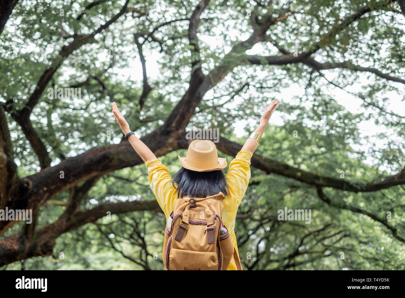 Asiatische reisende Frau backpacker Arm heben Blick auf ansehen und Moment im grünen Wald Jahreszeit genießen, Freiheit Wanderlust Travel. solo Rucksack Stockfoto