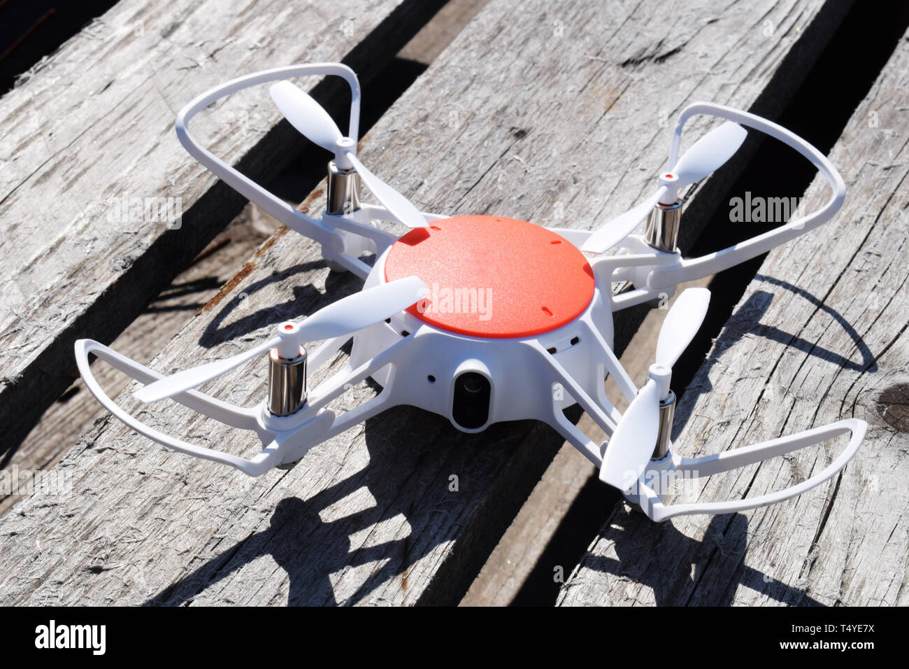 Brummen auf Holz- Hintergrund. Die neuen Technologien bei der Aero Foto shooting. Stockfoto