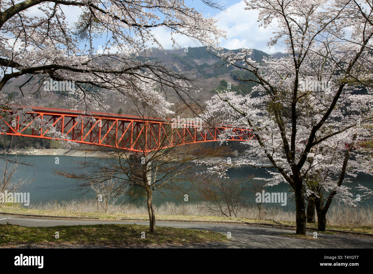 Kusaki Park, entlang der Romantischen Straße, Japan Stockfoto