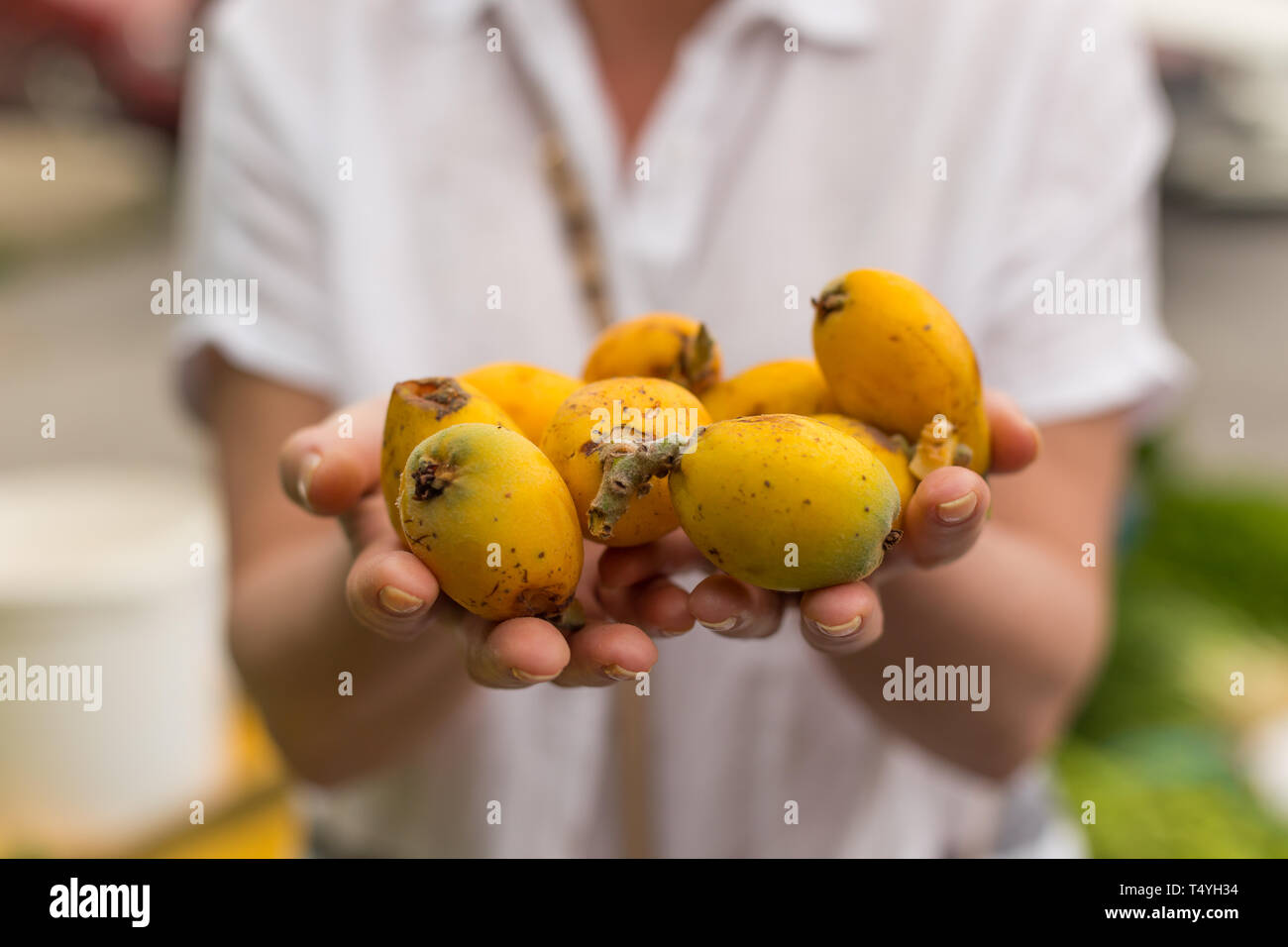 Horizontale Schuss weiblicher Hände halten Mispel Früchte. Selektiver Fokus und flache Tiefenschärfe. Stockfoto