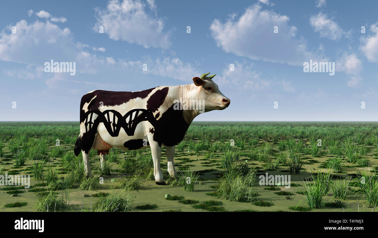 Kuh mit DNA-Kette Schild steht auf der grünen Wiese, 3D-Rendering. Stockfoto