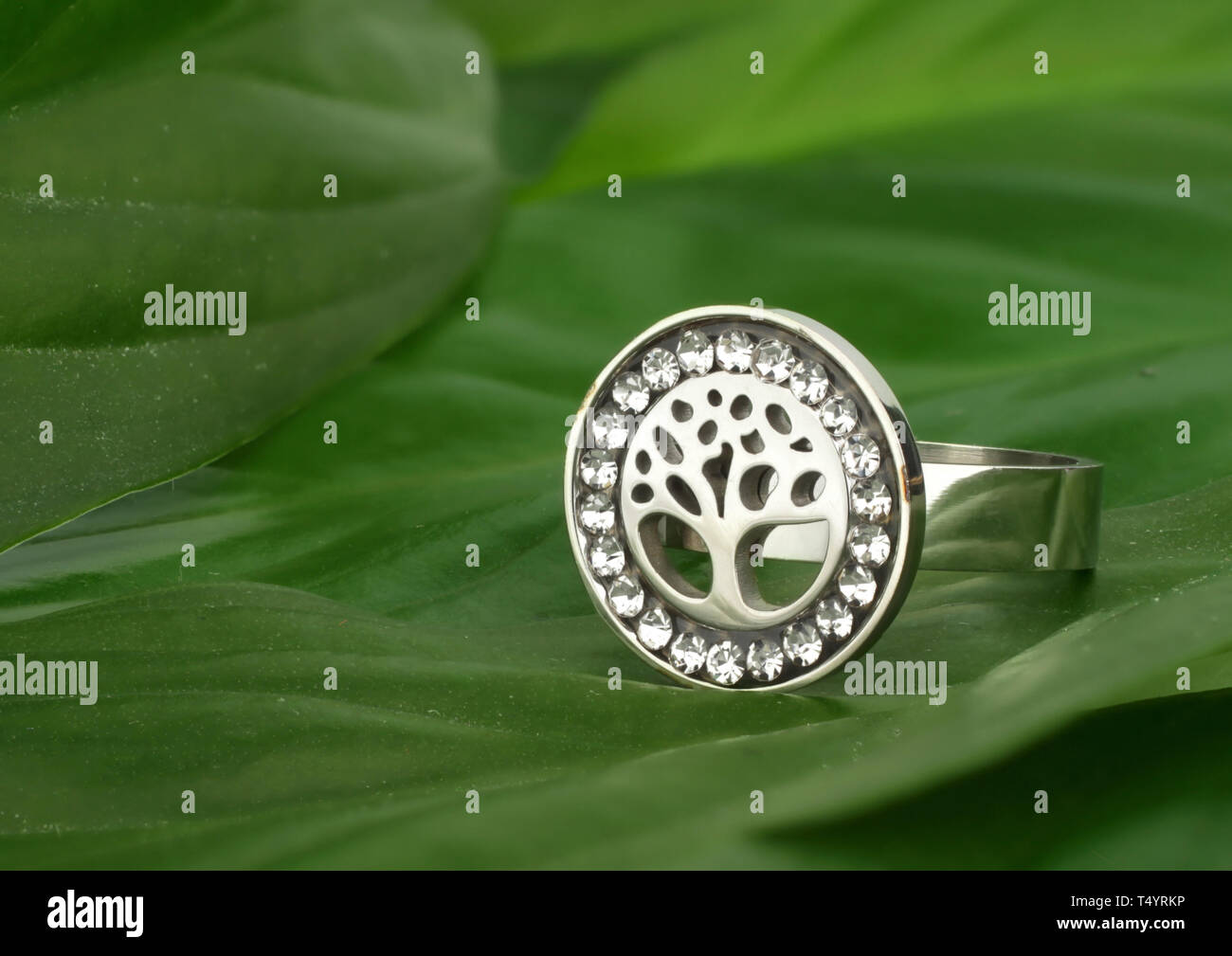 Schmuck Ring mit Diamanten, Form des Baumes, auf grüne Blätter treibt. Stockfoto