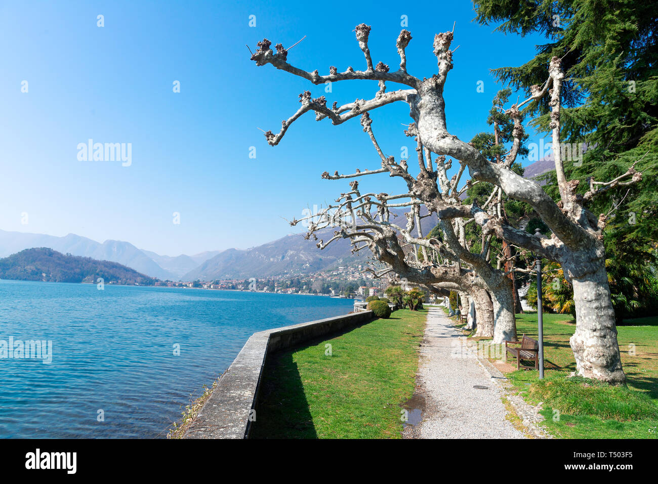 Tremezzo, Como: Teresio Olivelli Civic Park Stockfoto