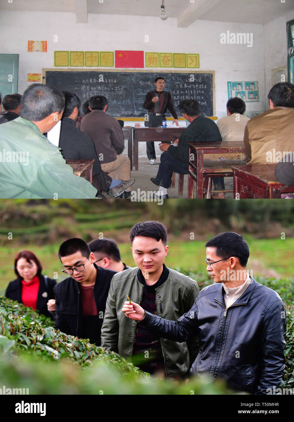 (190420) - WUYISHAN, April 20, 2019 (Xinhua) - Kombination Foto genommen, 2010 (oben) zeigt Technik Ratgeber Liu Guoying Lehre eine Klasse für die örtlichen Landwirte und am März 26, 2019 (unten) zeigt er die Einführung von Wissen über Tee an Studenten in Fuzhou, Provinz Fujian im Südosten Chinas. (Xinhua / Wei Peiquan) Stockfoto