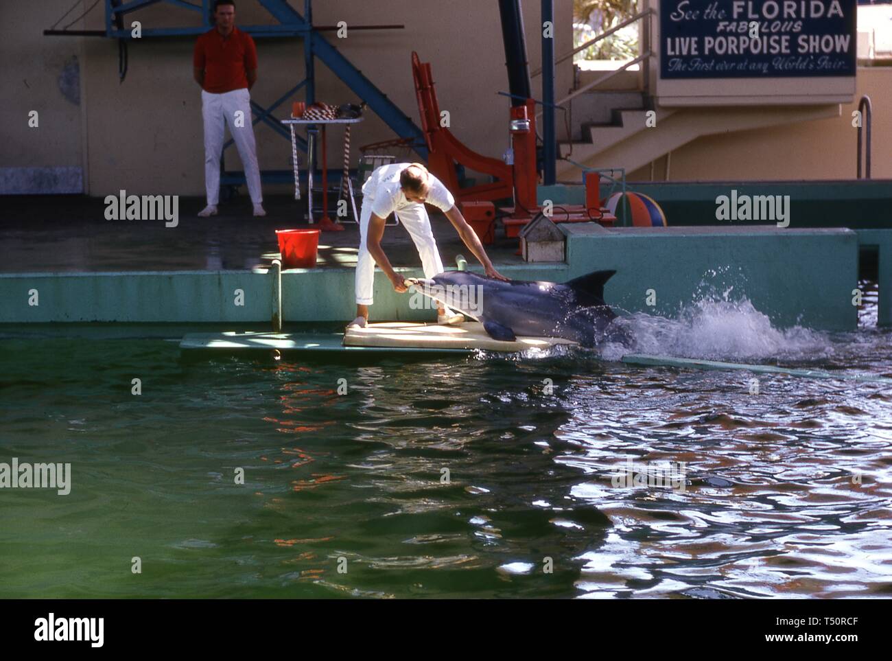 Ein Miami Seaquarium Trainer beugt sich über einen Fisch um eine ausführende Tümmler zu füttern, die Florida Pavillon, 1964 in New York World's Fair, Flushing Meadows Park, Queens, New York, 1964. () Stockfoto