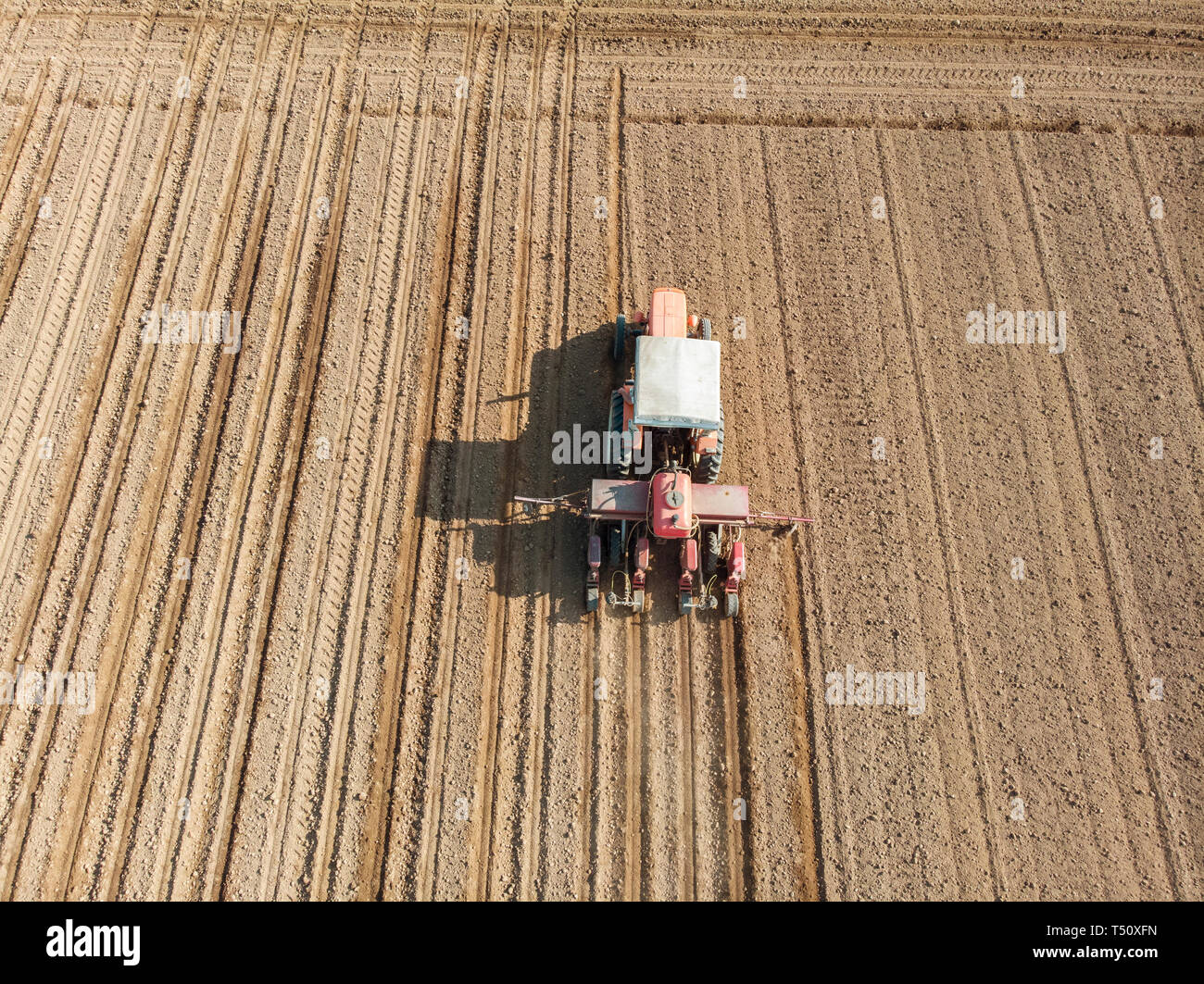 Luftaufnahme von einem Traktor Pflügen der Felder, Pflügen, Säen, Ernten. Agrar- und Landwirtschaft. Wüste und dehydriert landet, globale Erwärmung Stockfoto