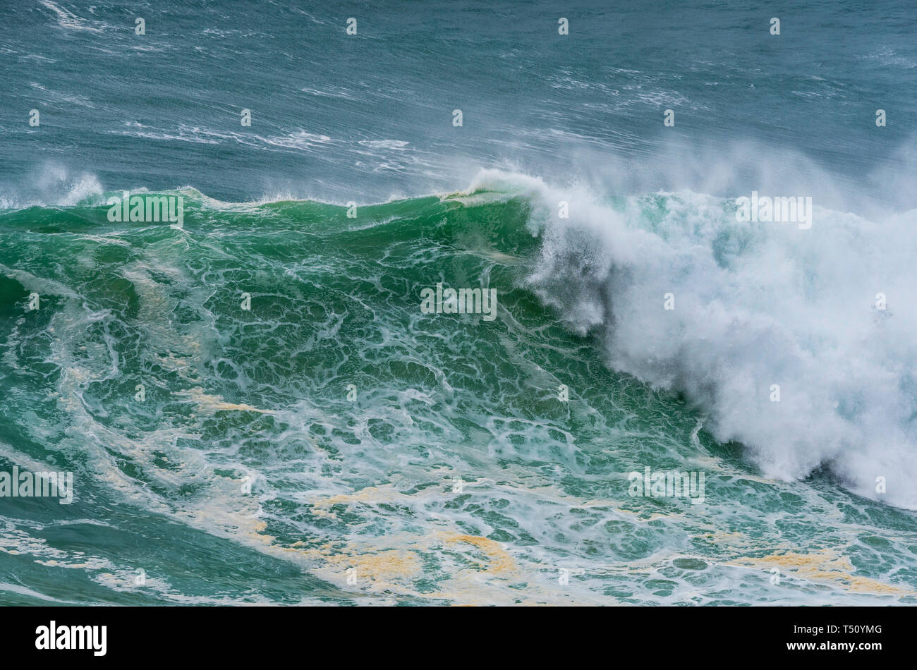 Mächtige Wellen von Nazare, Portugal Stockfoto