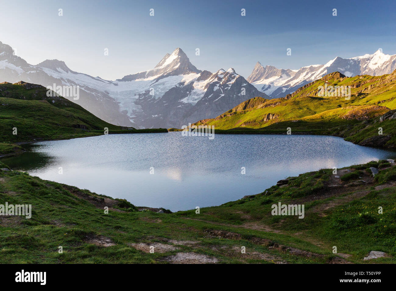 Bachalpsee Und Die Gipfel Von Schreckhorn Und Finsteraarhorn Fotos Und 