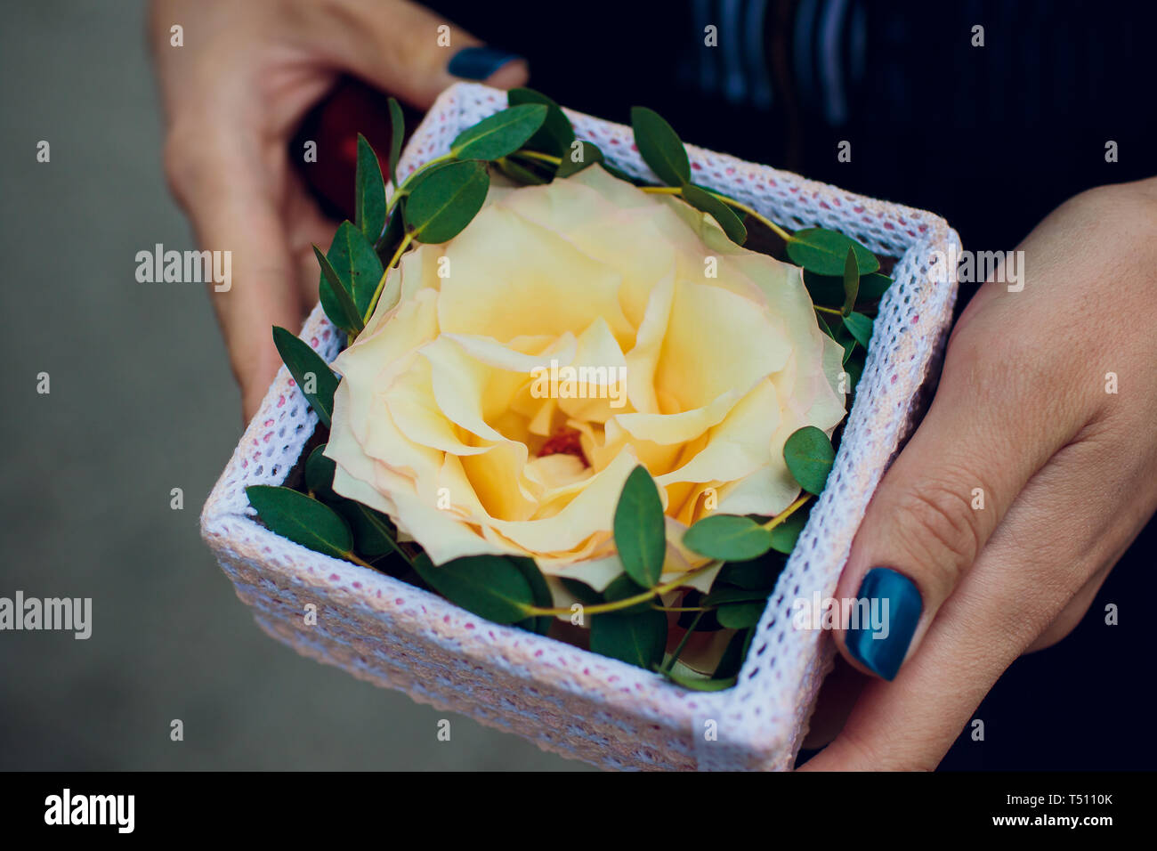 Die Braut hält einen Strauß die Braut aus weissen Rosen und eustoma. Stockfoto