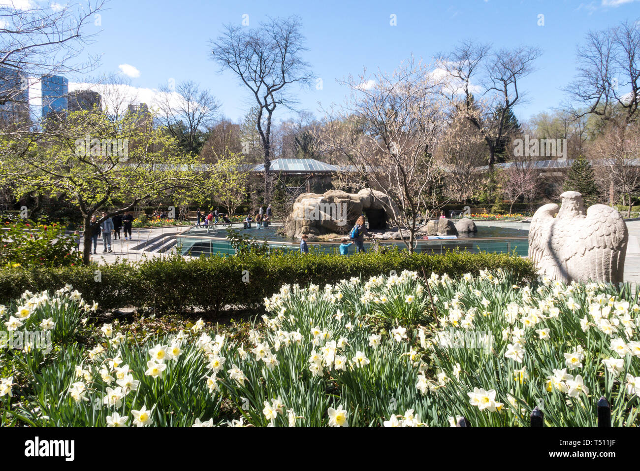 Der Zoo im Central Park ist im Frühling, NYC, USA, wunderschön Stockfoto