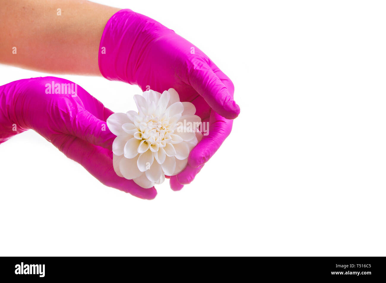 Hände Reißen Auf Und Bluten www.alamy.de