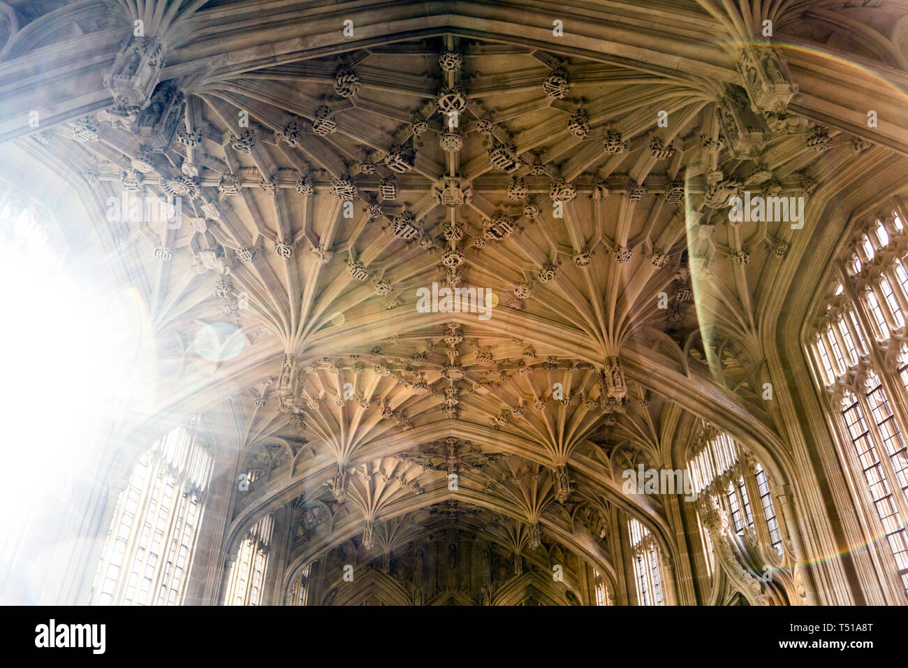 Gewölbte Decke und Fenster in einem mittelalterlichen Interieur der Die Divinity School in Oxford, Großbritannien Stockfoto