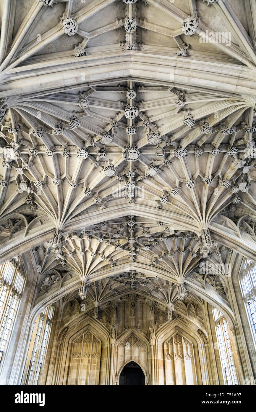 Gewölbte Decke und Fenster in einem mittelalterlichen Interieur der Die Divinity School in Oxford, Großbritannien Stockfoto