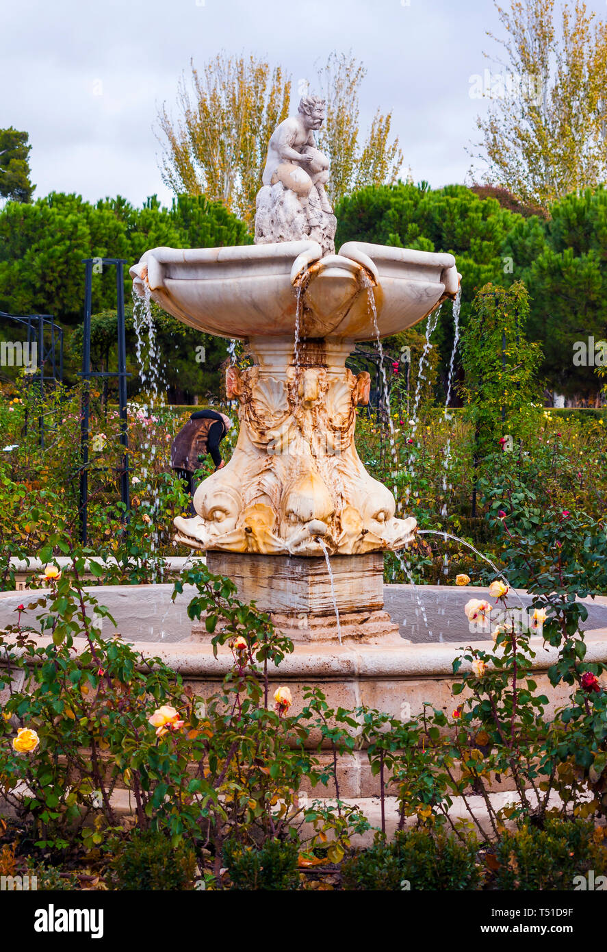 Rosaleda en el Parque de El Retiro. Madrid. España Stockfoto