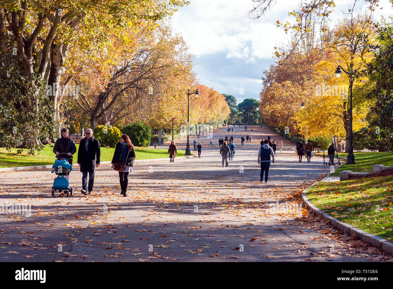 Otoño en el Parque de El Retiro (Paseo Fernán Núñez). Madrid. España Stockfoto