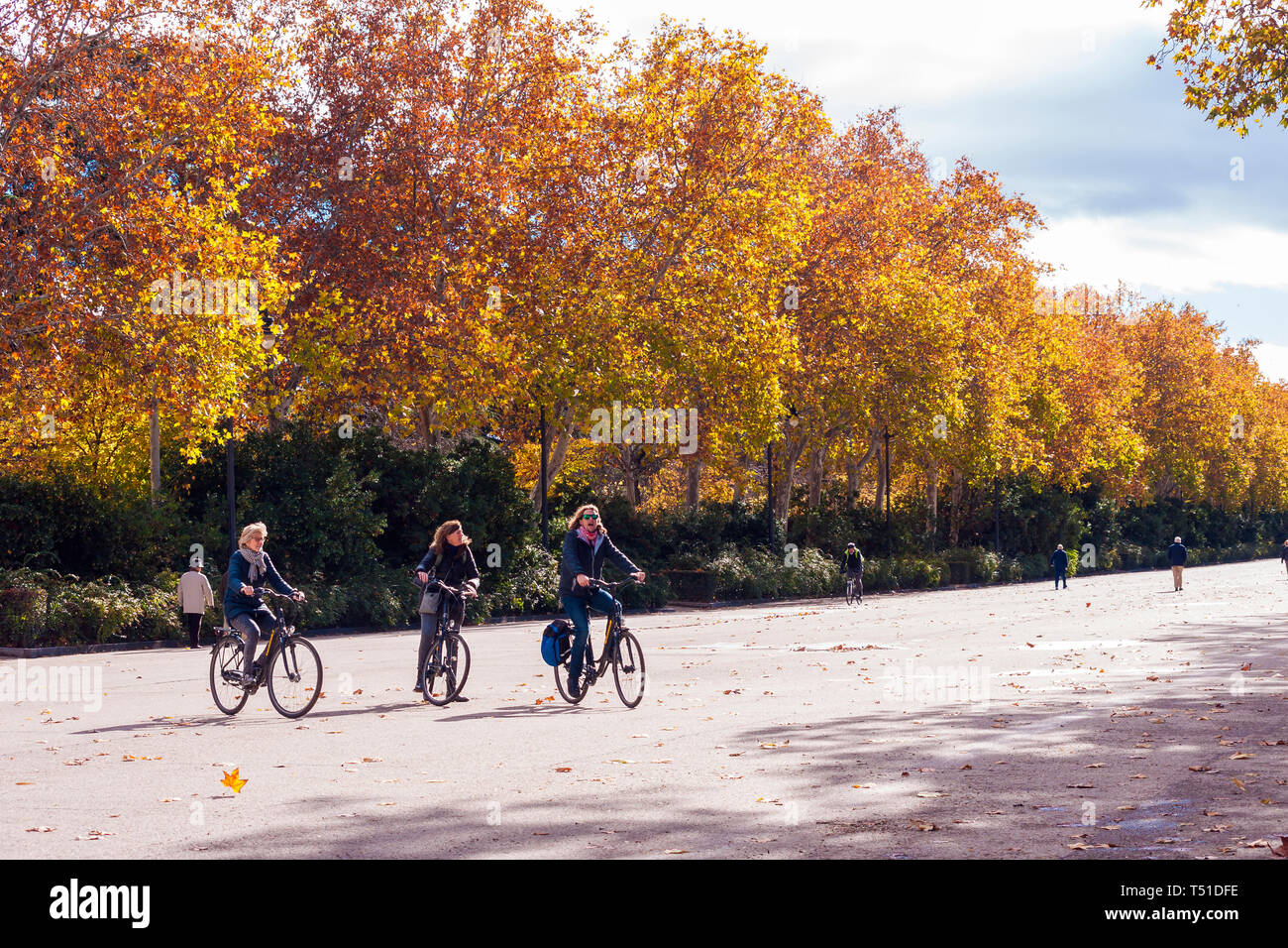 Otoño en el Parque de El Retiro. Madrid. España Stockfoto