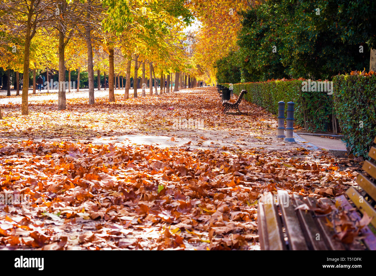 Otoño en el Parque de El Retiro. Madrid. España Stockfoto