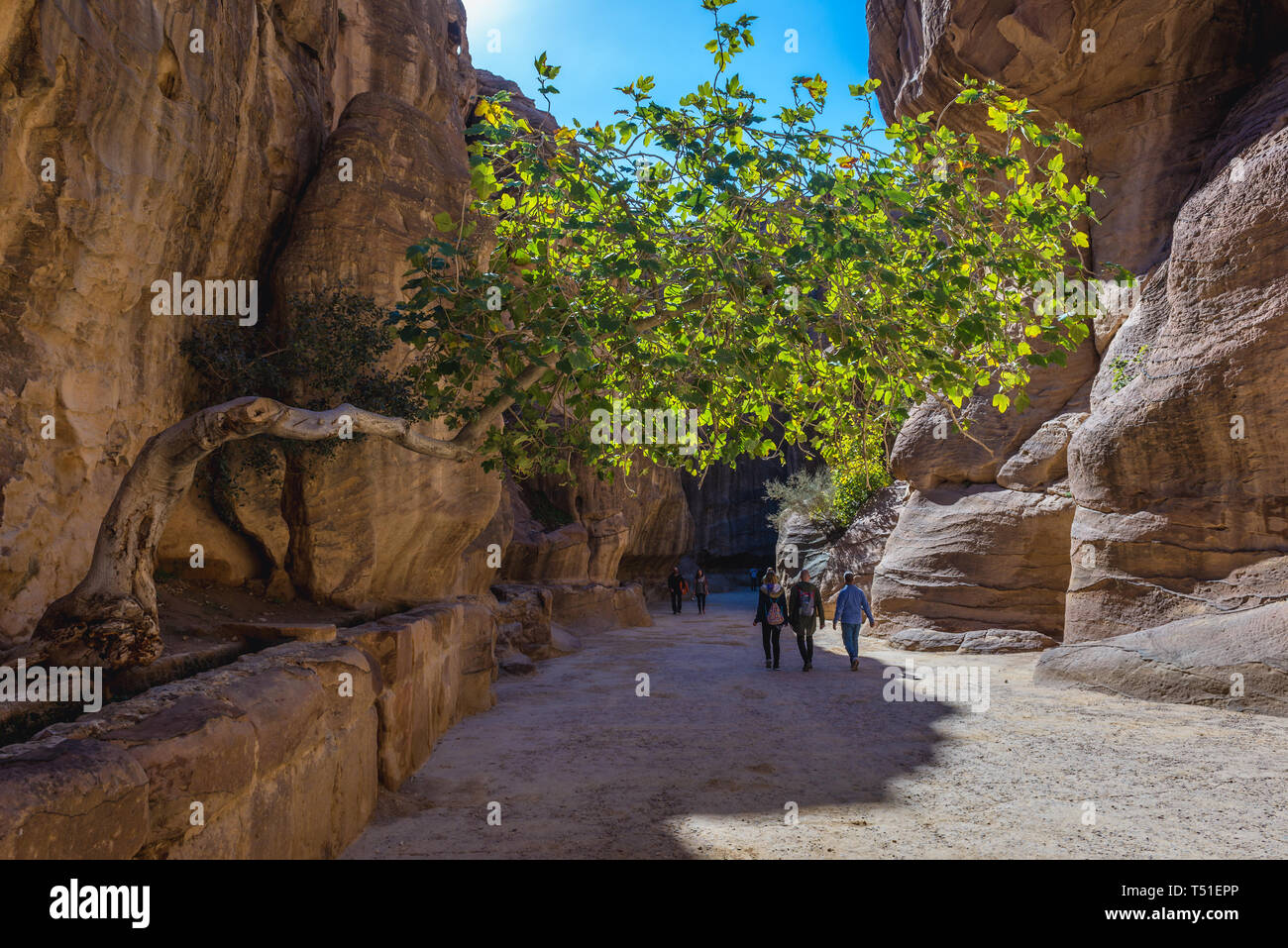 Al siq engen Tal von Petra historische Stadt der nabatäischen Reiches in Jordanien Stockfoto