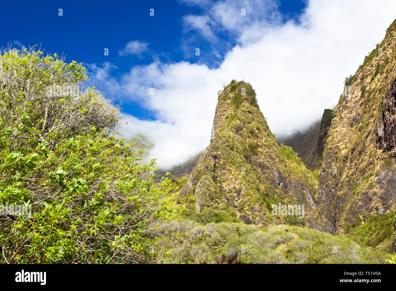 Die berühmten Iao Needle in der Iao Valley State Park auf Maui, Hawaii. Stockfoto