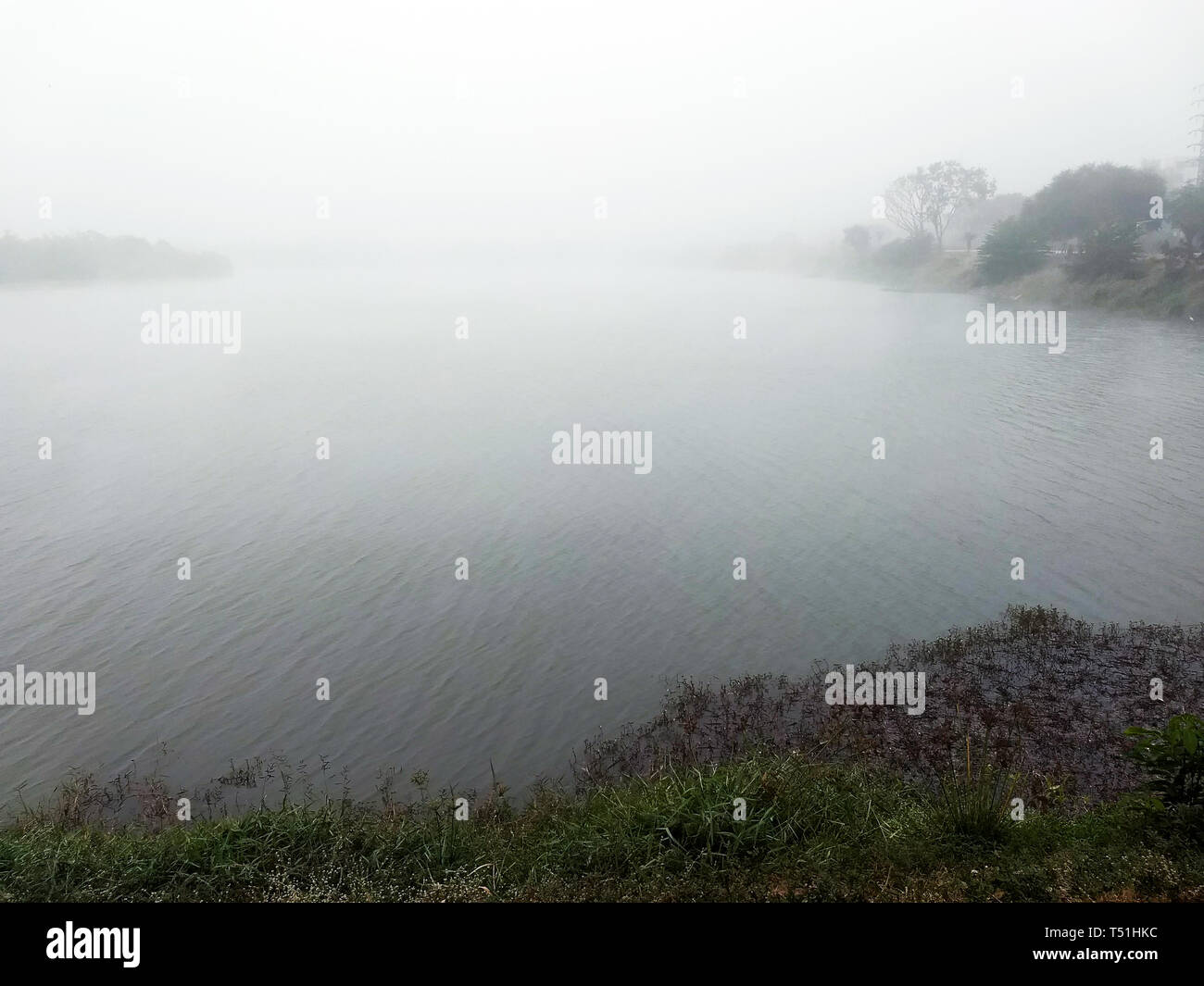 Eine noch nebligen See am Morgen im Wald Stockfoto