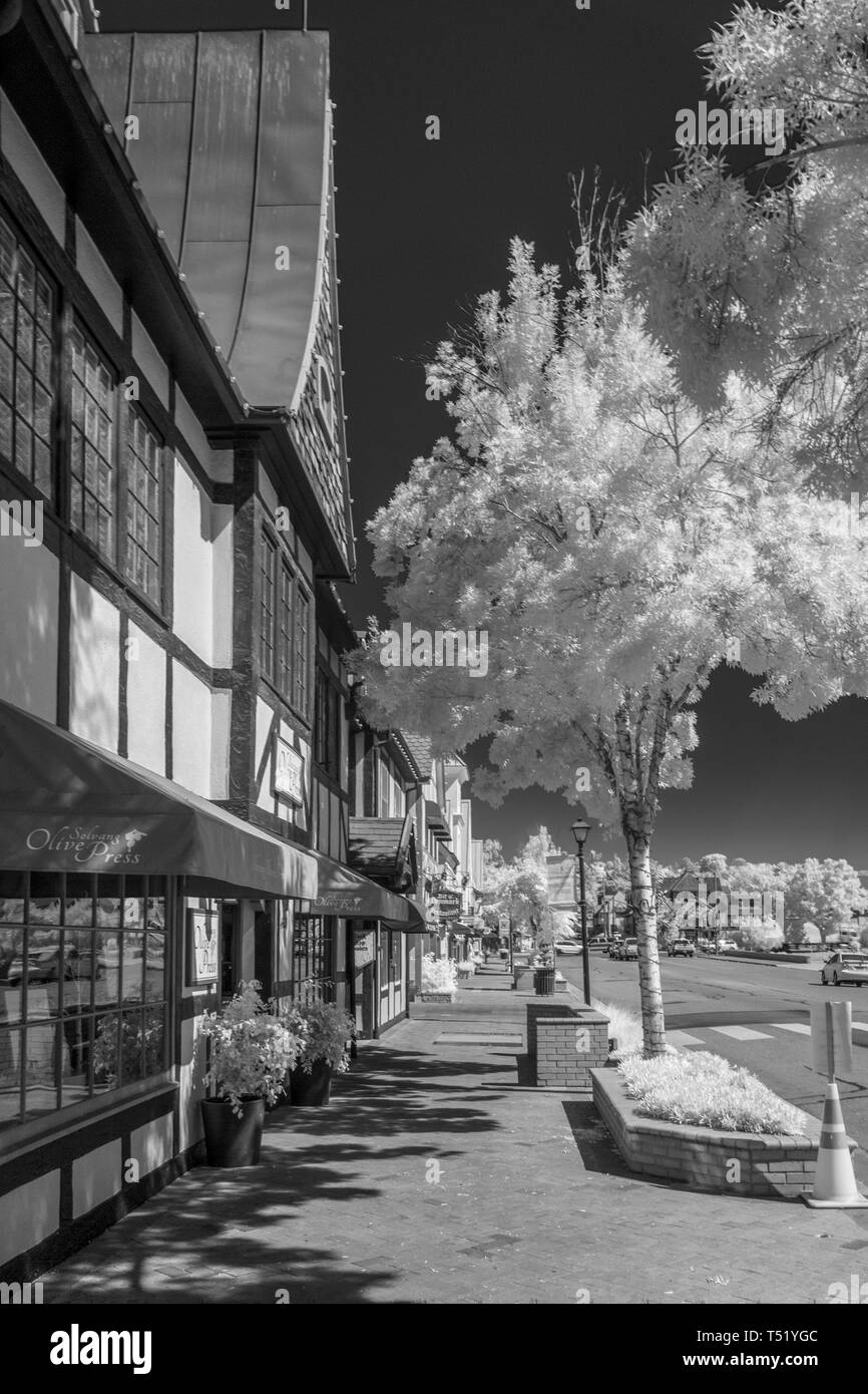 Frosty white Bäume auf kleine Stadt Stadt Straße mit Geschäften und businessess, Schwarz und Weiß. Stockfoto