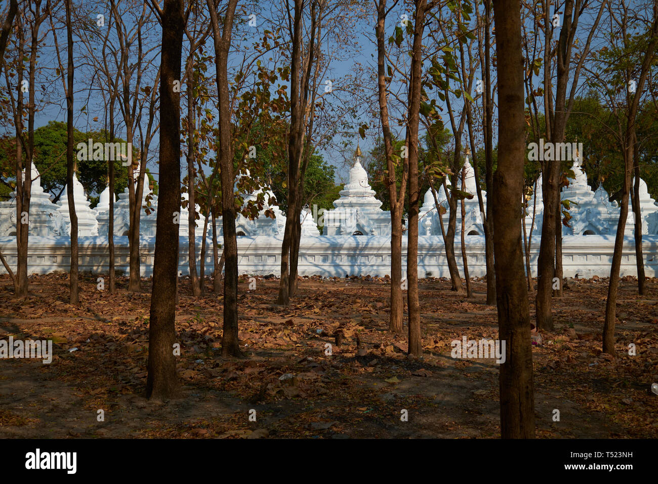 Durch die Bäume außerhalb des Komplexes, einige der mehr als 700 Stupas, die jeweils eine Platte von der größte Buch der Welt enthalten. In der Kuthodaw Pagode Stockfoto