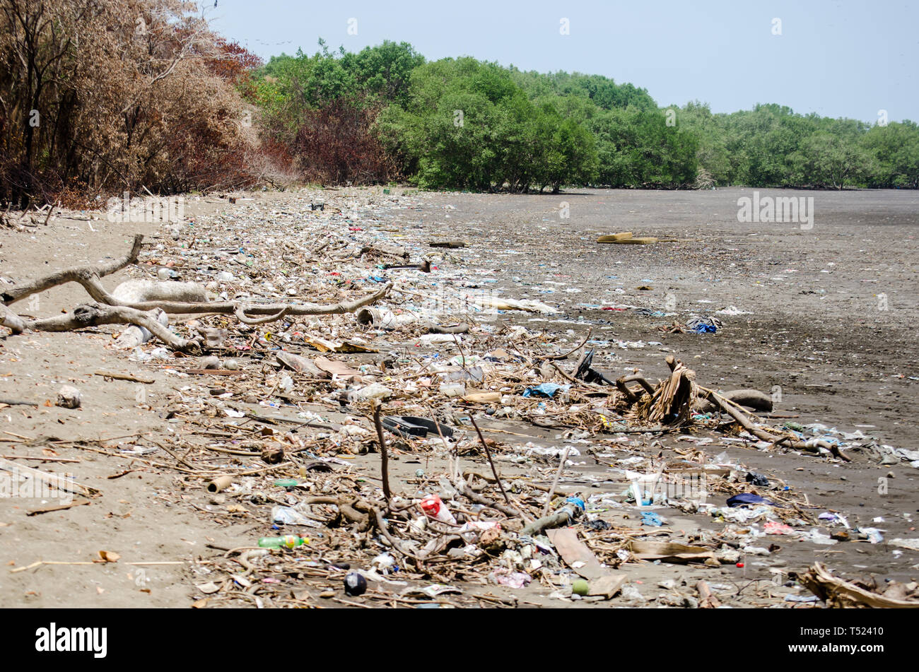 Papierkorb Verschmutzung entlang der Küste der Costa del Este, in Panama City Stockfoto