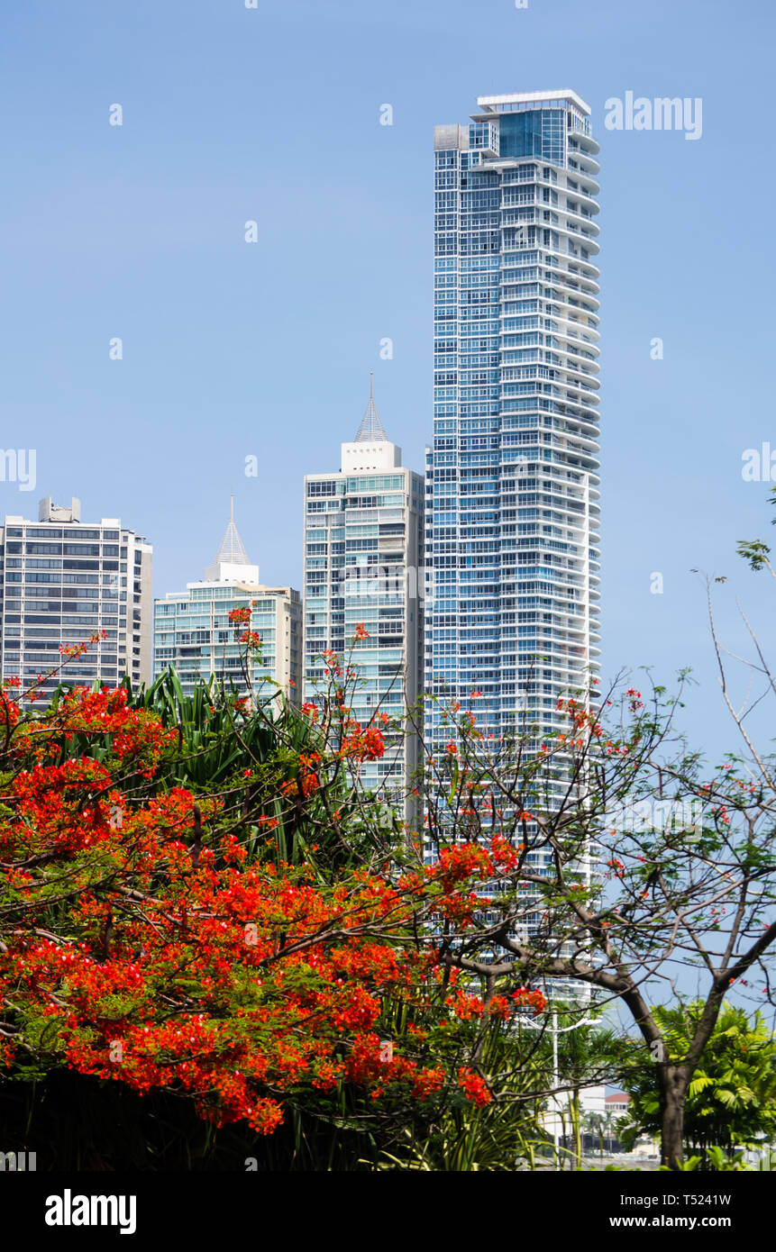 Panama City Gebäude Stockfoto