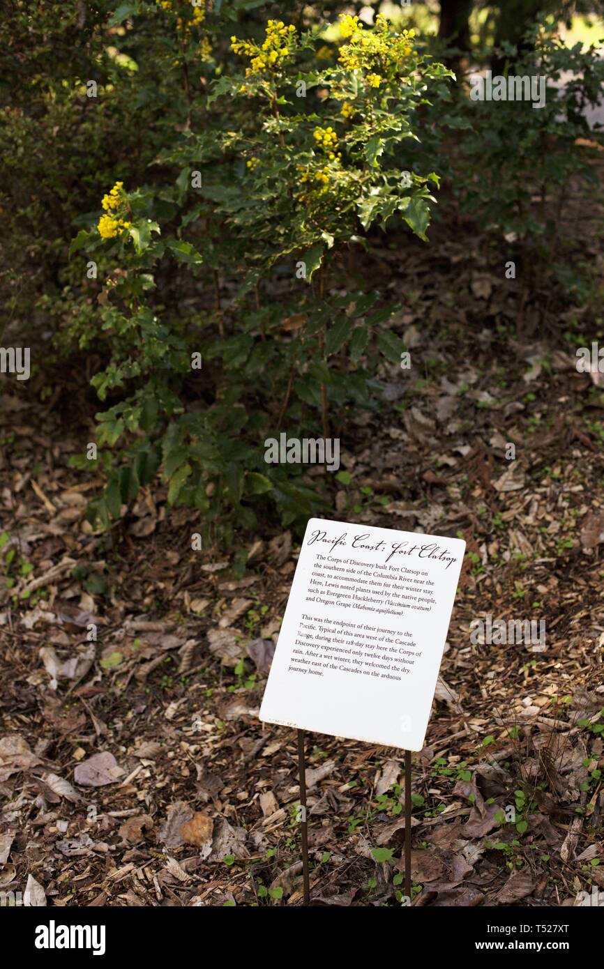 Ein beschreibendes Zeichen an einem der Orte von Interesse in der Lewis und Clark botanisches Erbe Garten an der Oregon Garten in Silverton, Oregon, USA. Stockfoto