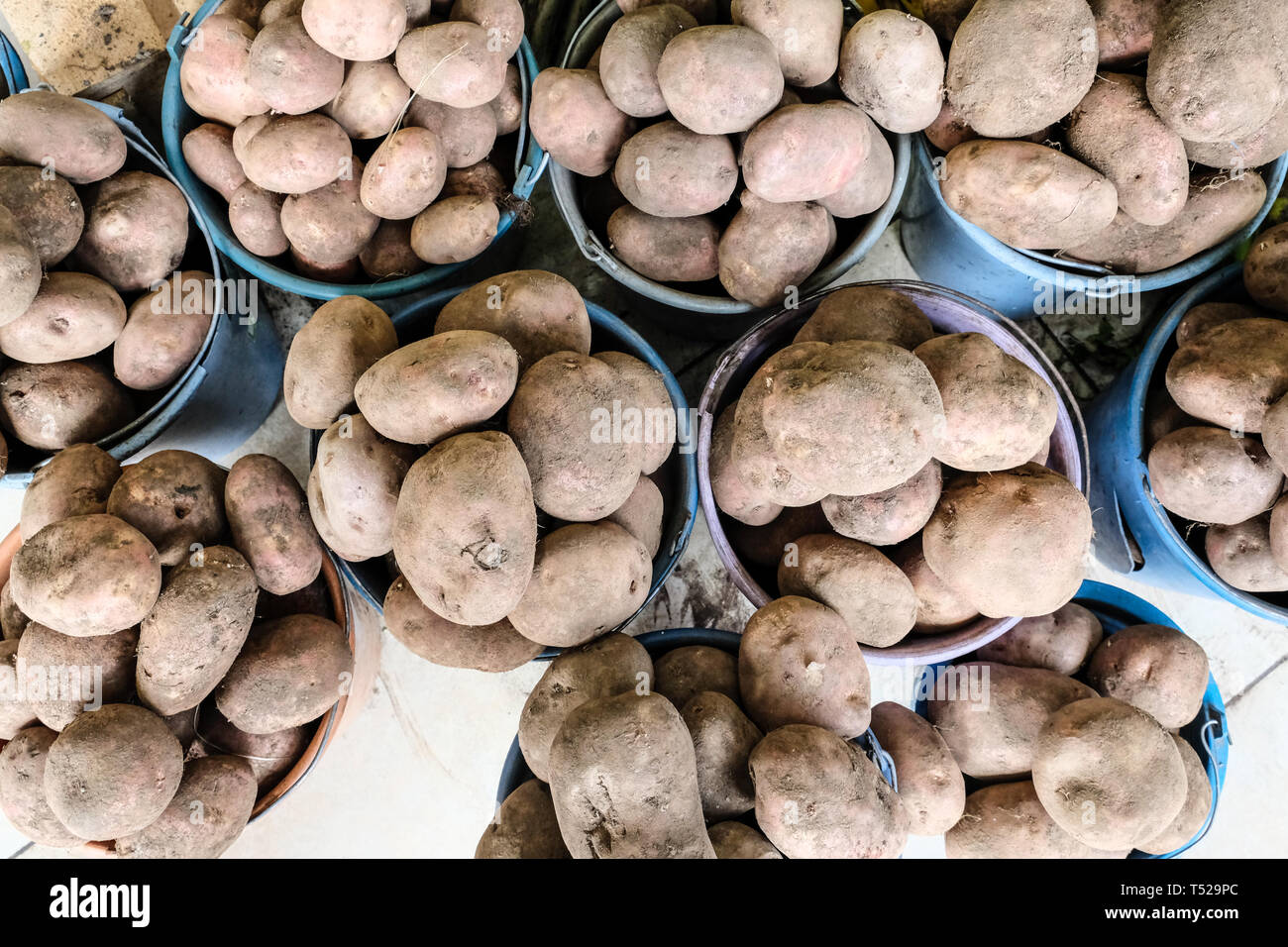 Frische, regionale Produkte in Farmers Market Stockfoto