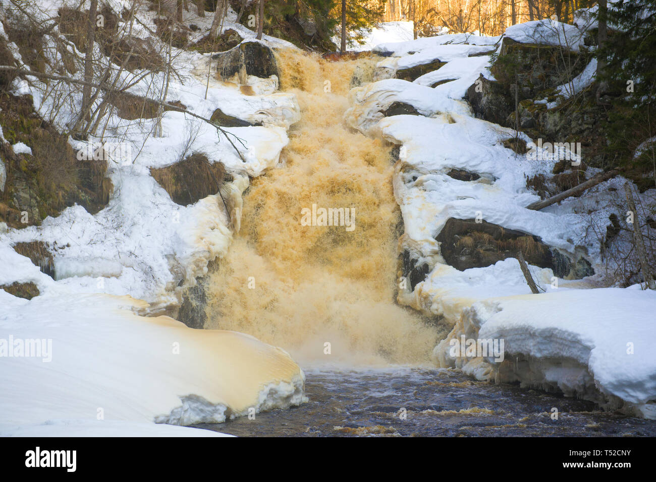 Jukankoski Wasserfall in der Nähe bis in den April Morgen. Karelien, Russland Stockfoto