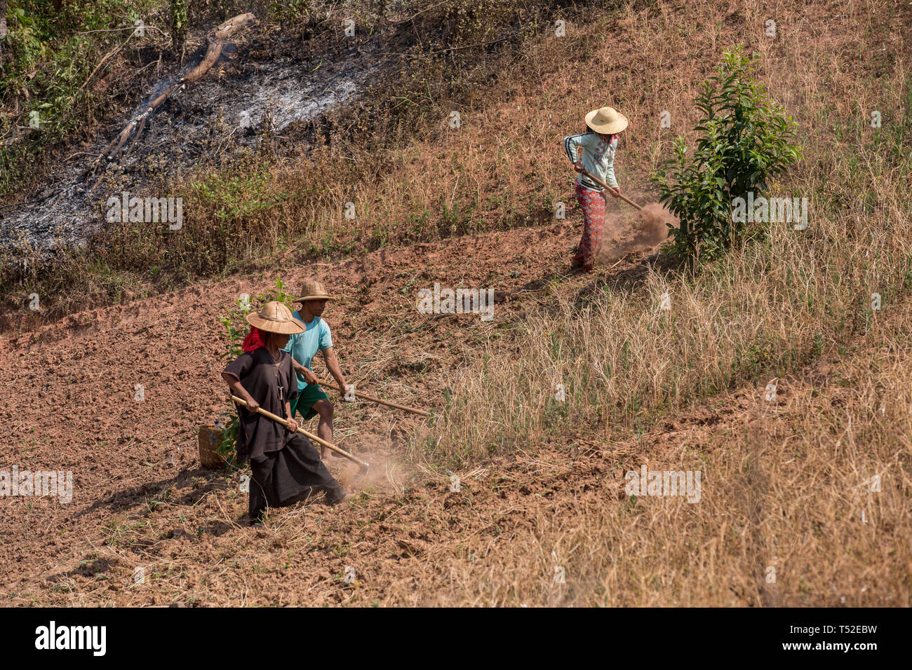 Shan Menschen, die in das Feld auf dem Weg von Kalaw zum Inle See, Shan Staat, Myanmar. Stockfoto