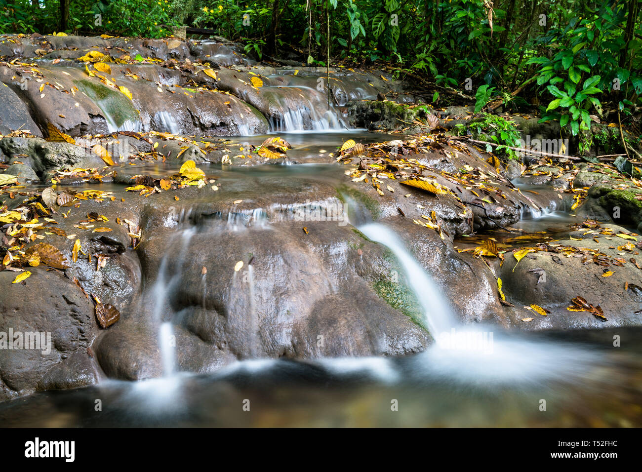 Motiepa Wasserfall in Palenque in Mexiko Stockfoto