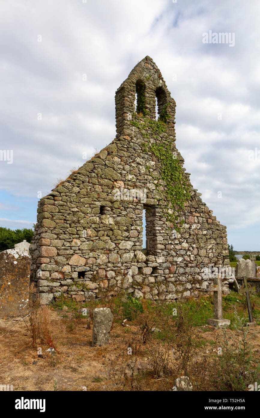 Die Ruinen der St. Abbans Kirche, ein Jahrhundert der Muttergottes Insel Kloster, Co Wexford, Irland. Stockfoto