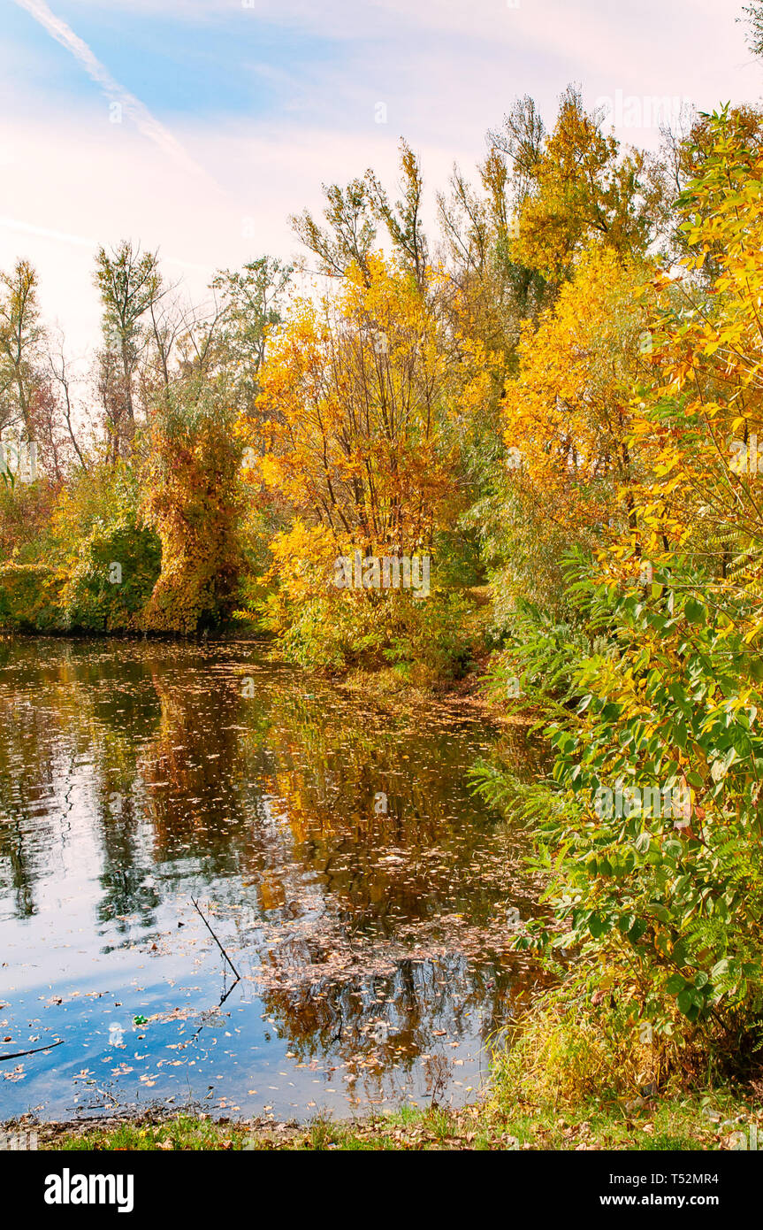 Sonnigen Herbsttag in der Nähe des Dnjepr in Kiew, Ukraine, mit Pflanzen, Schilf und Bäume um Stockfoto