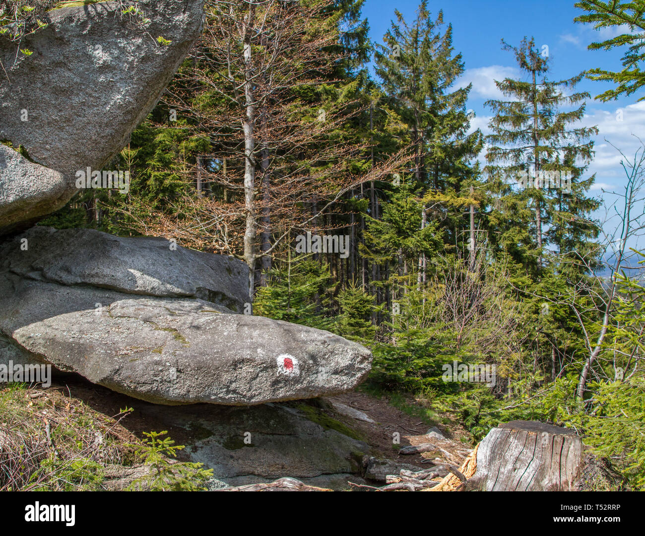 Steinformationen - Erlebnisweg Heinrichs, Waldviertel, Österreich Stockfoto