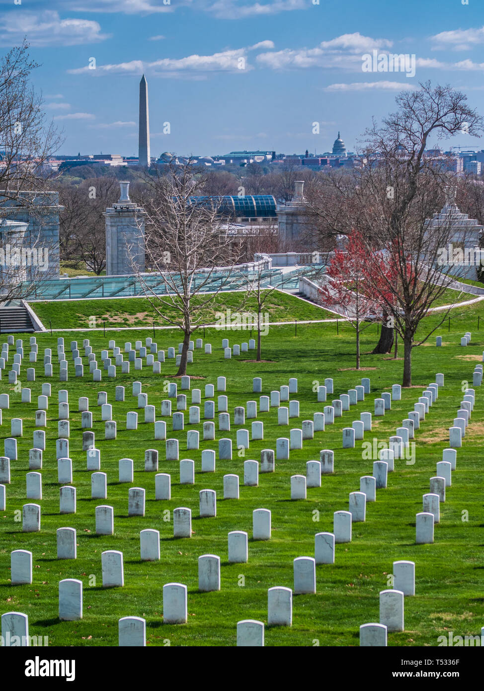 Grabstein auf dem Arlington National Cemetery Stockfoto